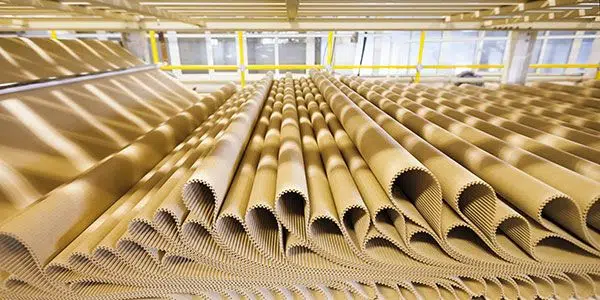 Cardboard
