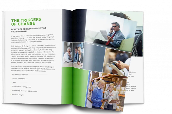 sap business bydesign ebook