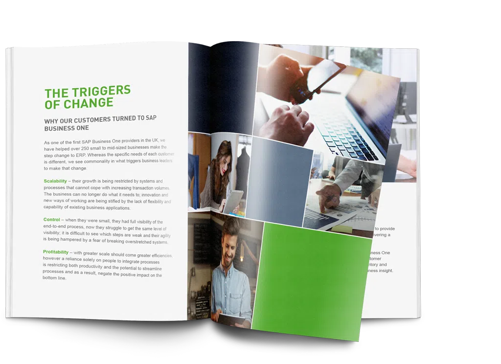 sap business one ebook