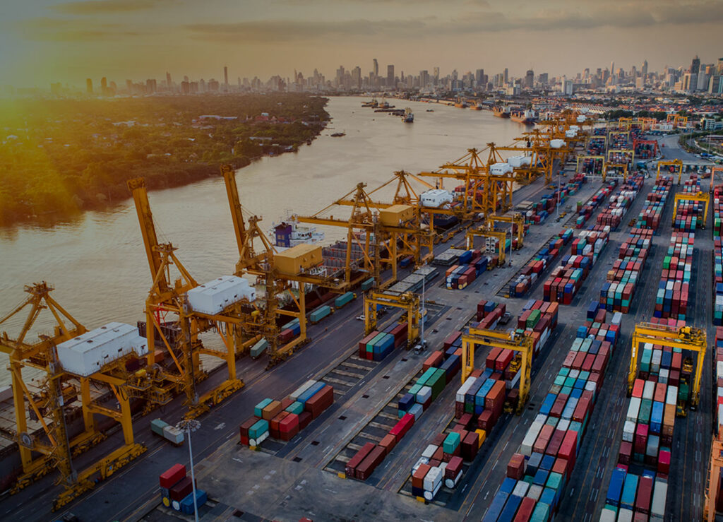 ERP for Supply Chain Management | Codestone