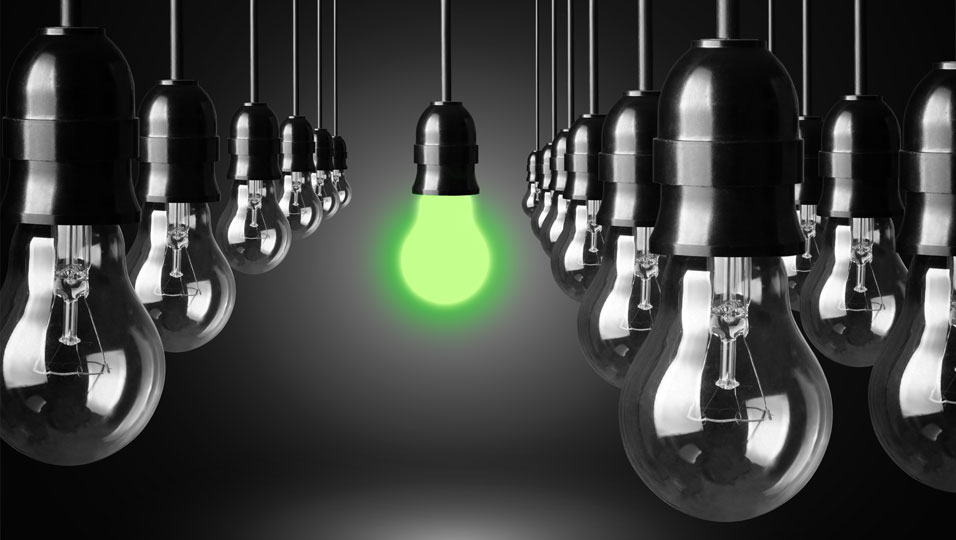 bulbs